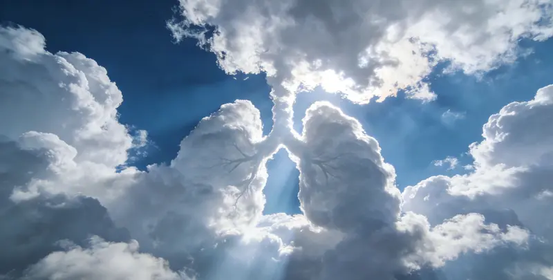 郴州肺癌12基因ctDNA突变检测(血液）图片1