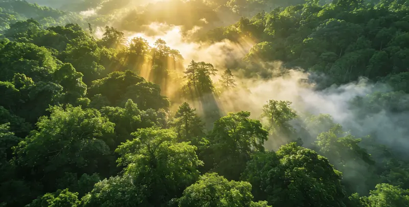 郴州肺癌甲基化检测图片1