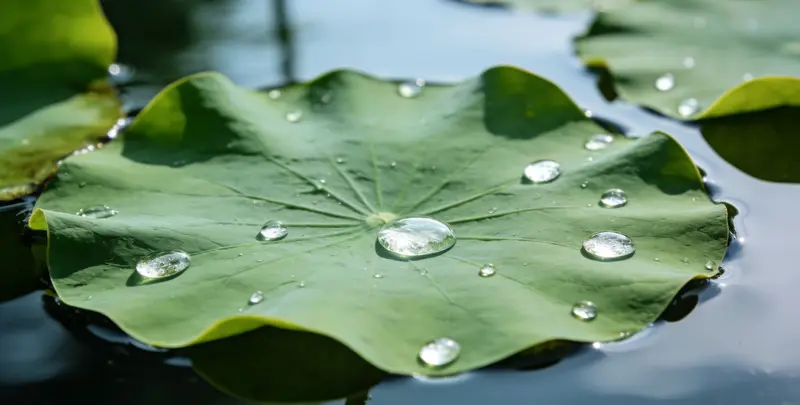 郴州乳腺癌21基因mRNA表达分析图片1