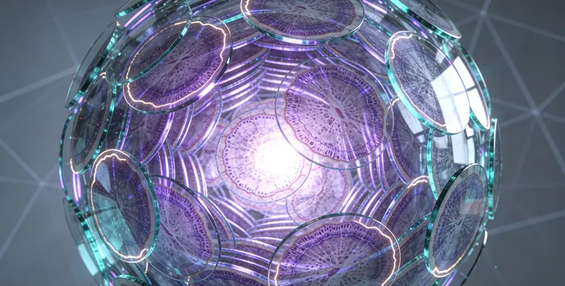 泛实体瘤462基因检测图4